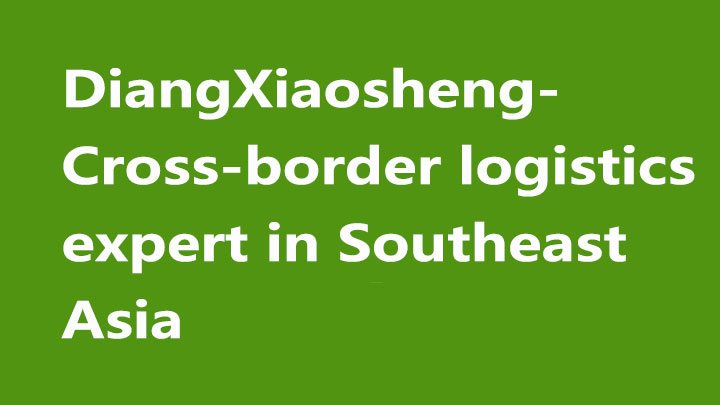 东南亚跨境物流专家